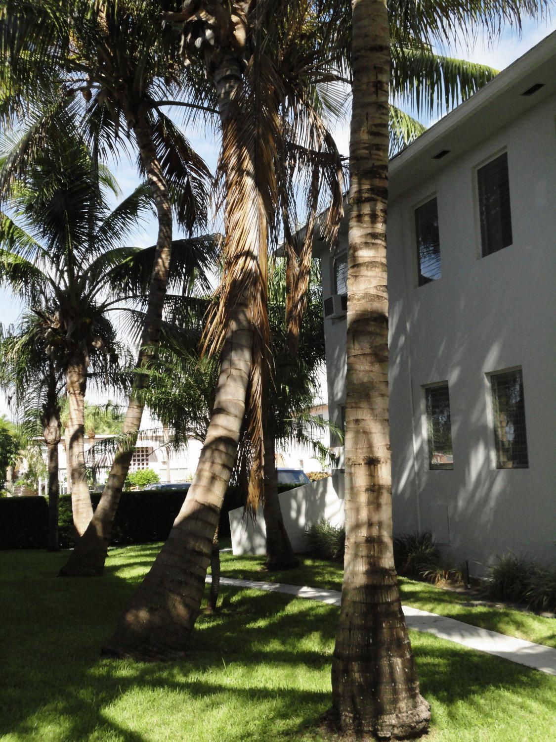 Summerland Suites Fort Lauderdale Luaran gambar